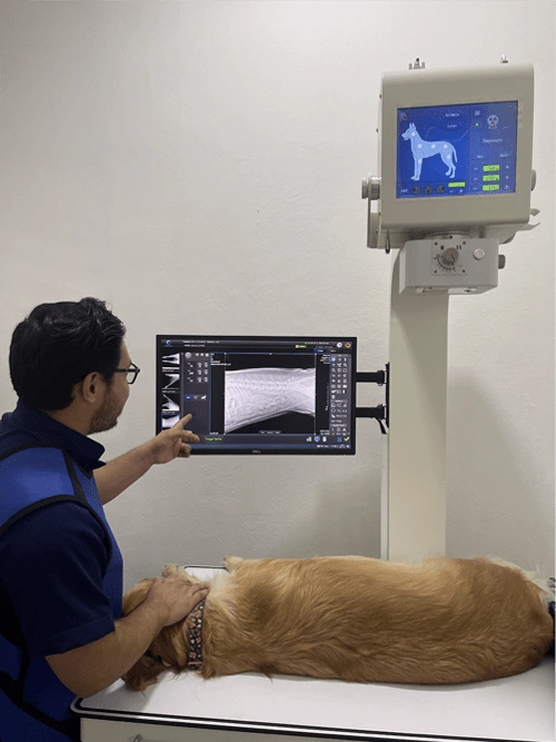 RADIOGRAFIA