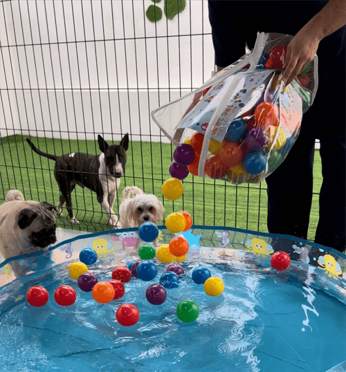 DAY-CARE