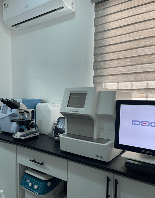 LABORATORIO